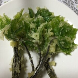 春の恵み☆こしあぶらの天ぷら